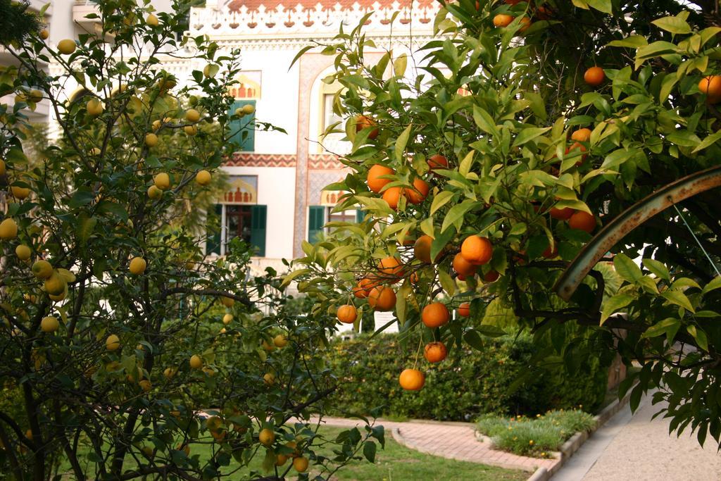 Maison d'hôtes Belle Rive Cannes